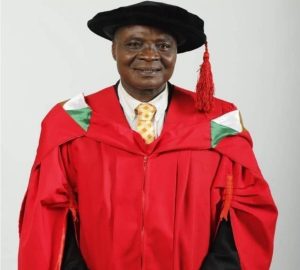 Professor Olusegun O. Akinyinka